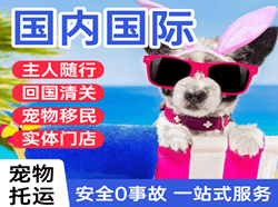 果洛玛沁空运代理国际宠物托运 【国